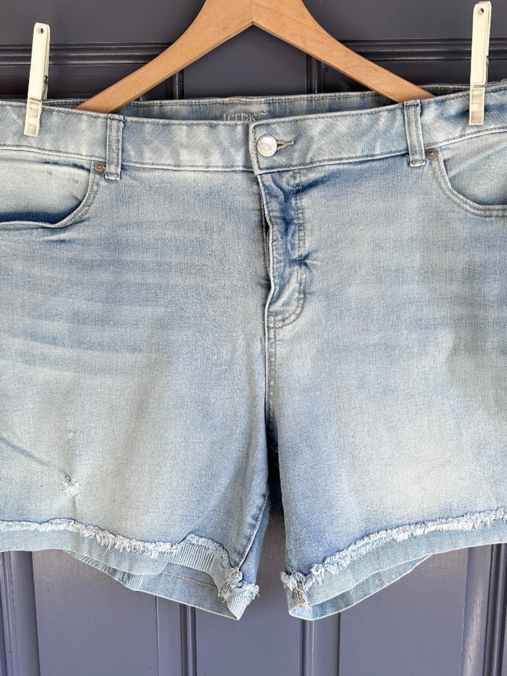 Terra & Sky Jean Shorts, 24W